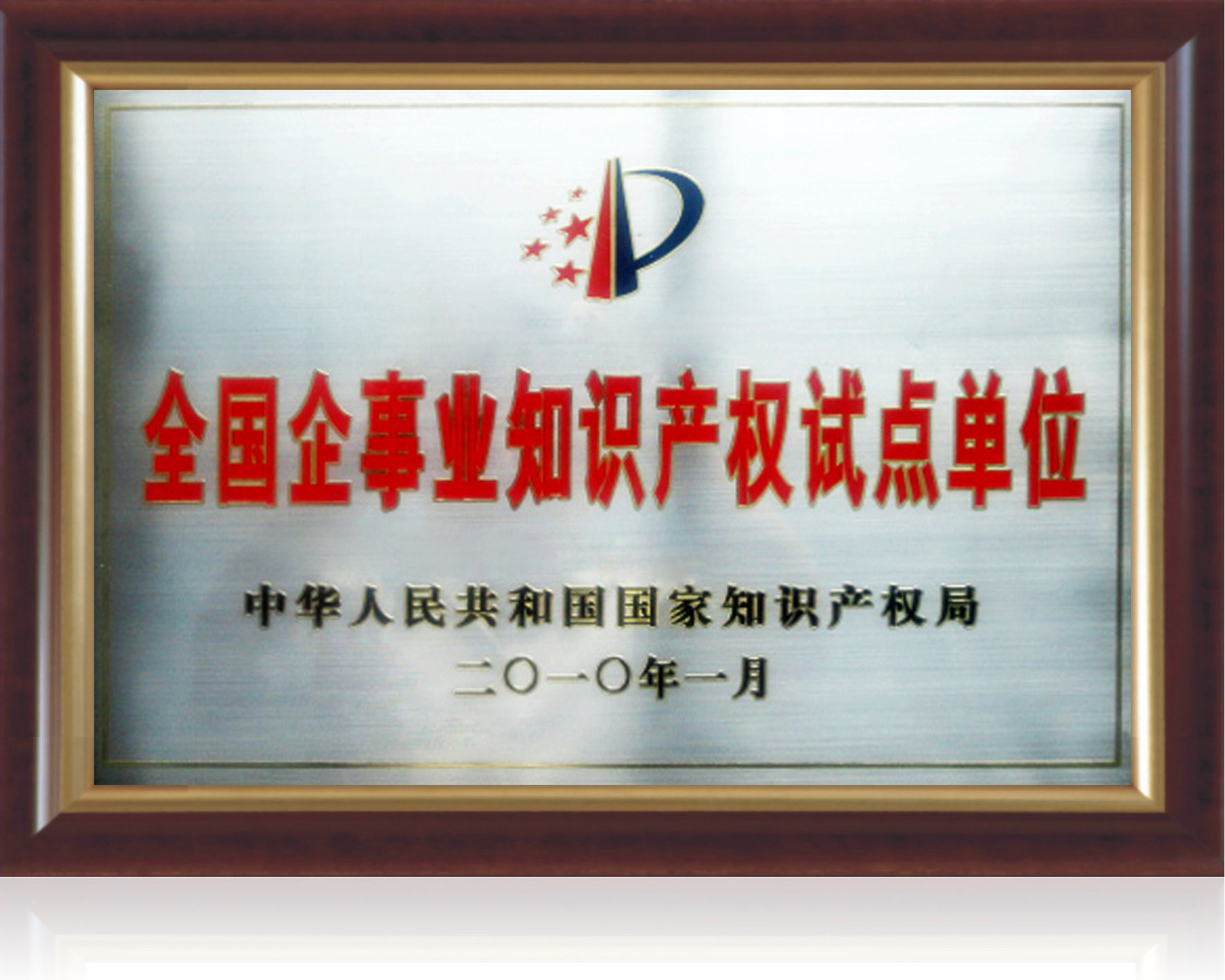 全國企事業(yè)知識產(chǎn)權試點單位.jpg