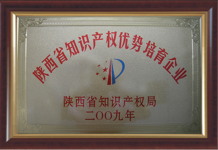 陜西知識產(chǎn)權優(yōu)勢培育企業(yè).jpg